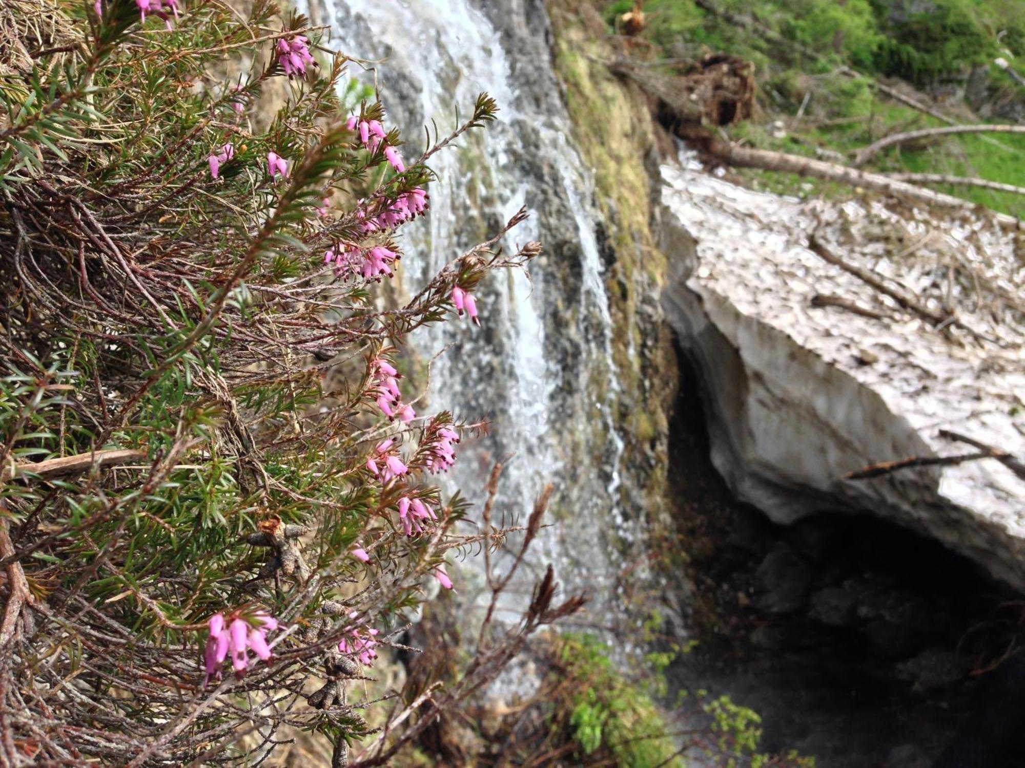 Rifugio Capanna Bill Hotel ร็อคคา ปิเอโตเร ภายนอก รูปภาพ
